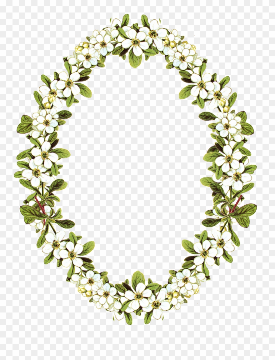 oval clipart flower