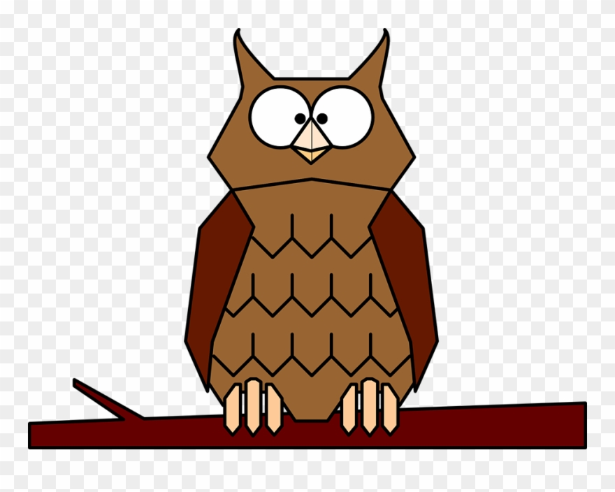 owl clipart animated