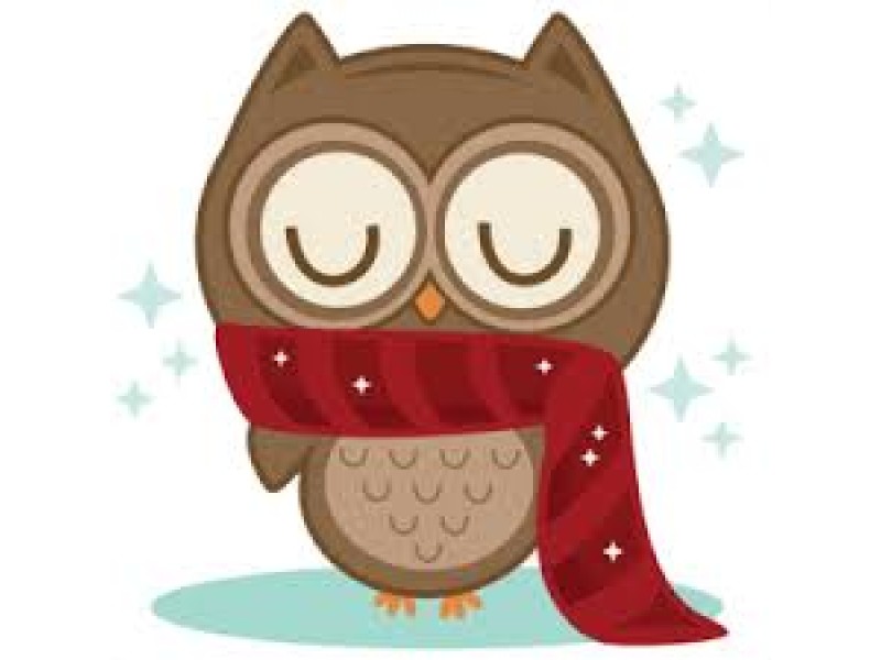 Free cliparts download clip. Owl clipart body