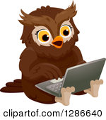 owl clipart computer