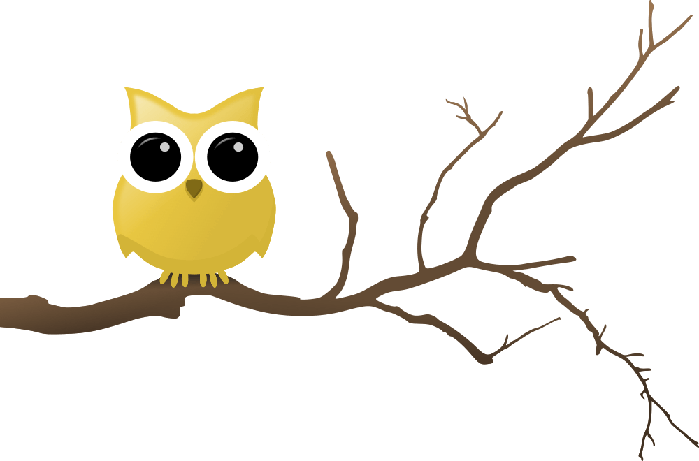 owl clipart feather
