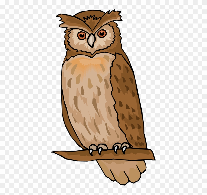 Owl clipart high resolution. Black and white library
