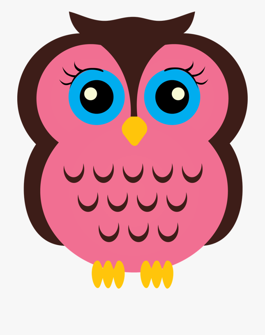 owl clipart kindergarten