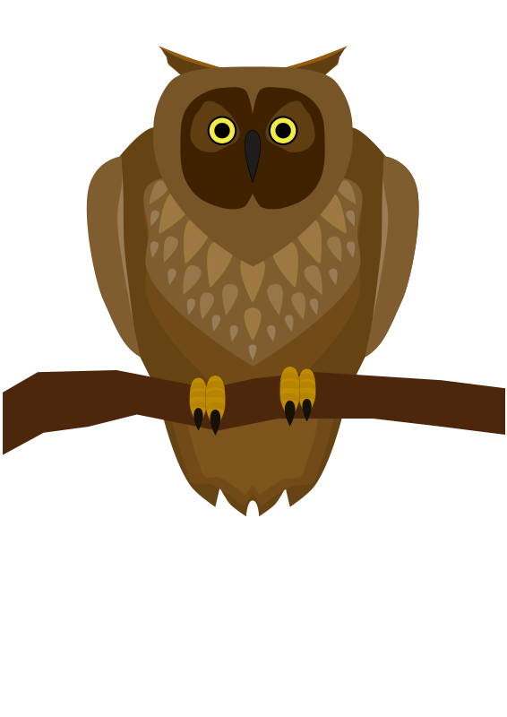 owl clipart owlet