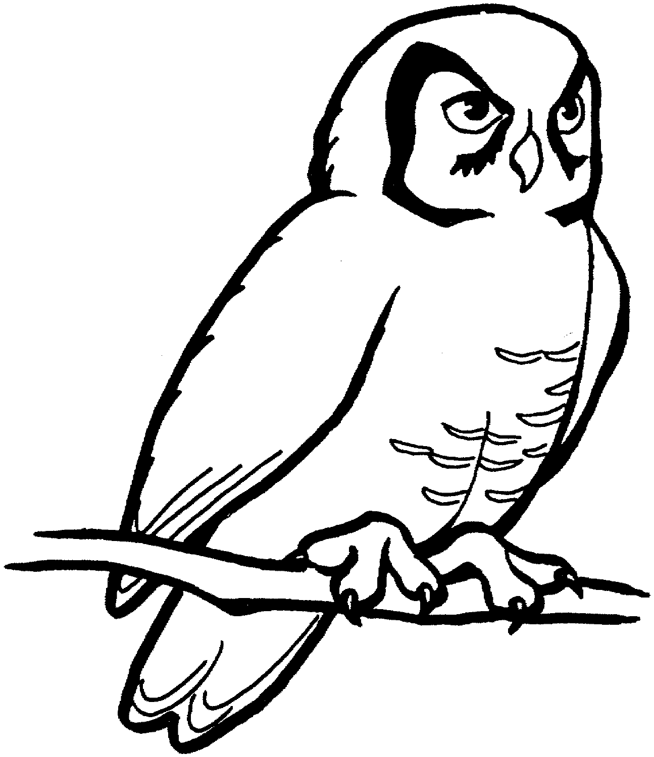 owl clipart template
