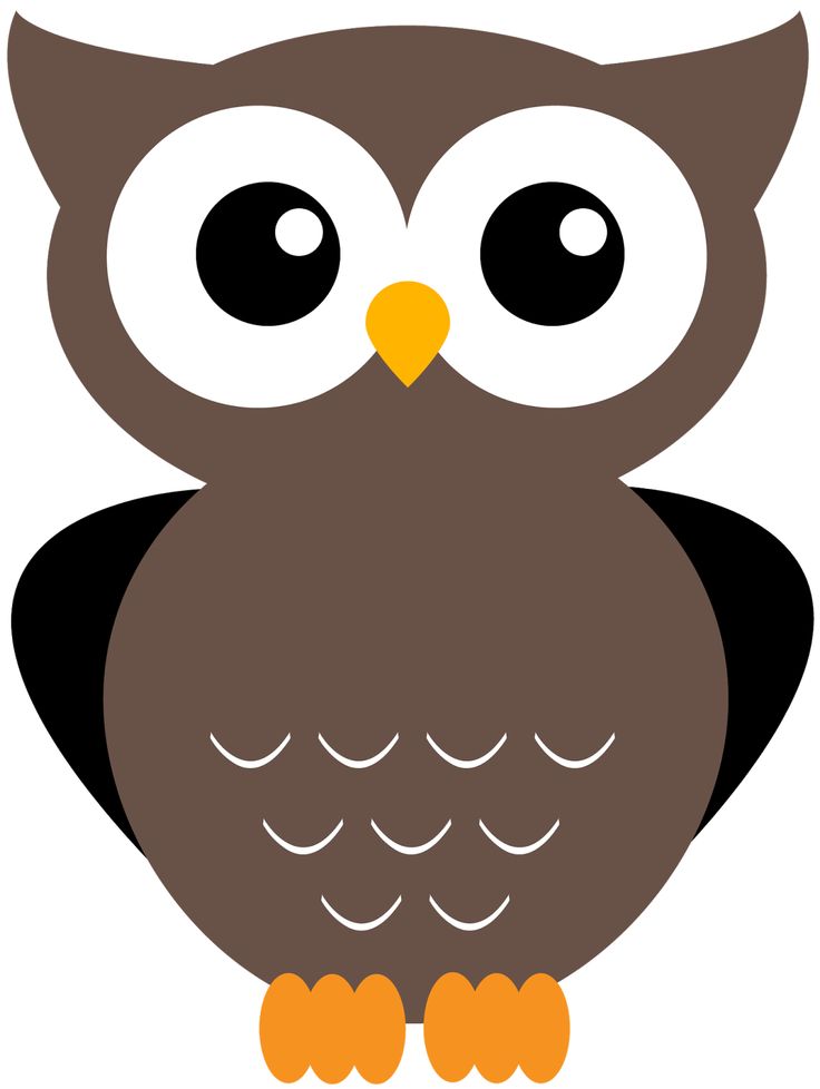 best owl images. Owls clipart ear