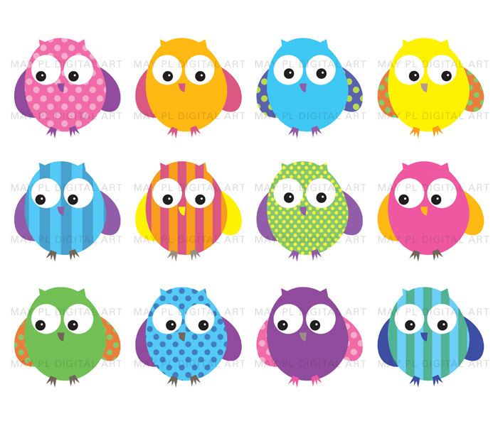 owls clipart colored