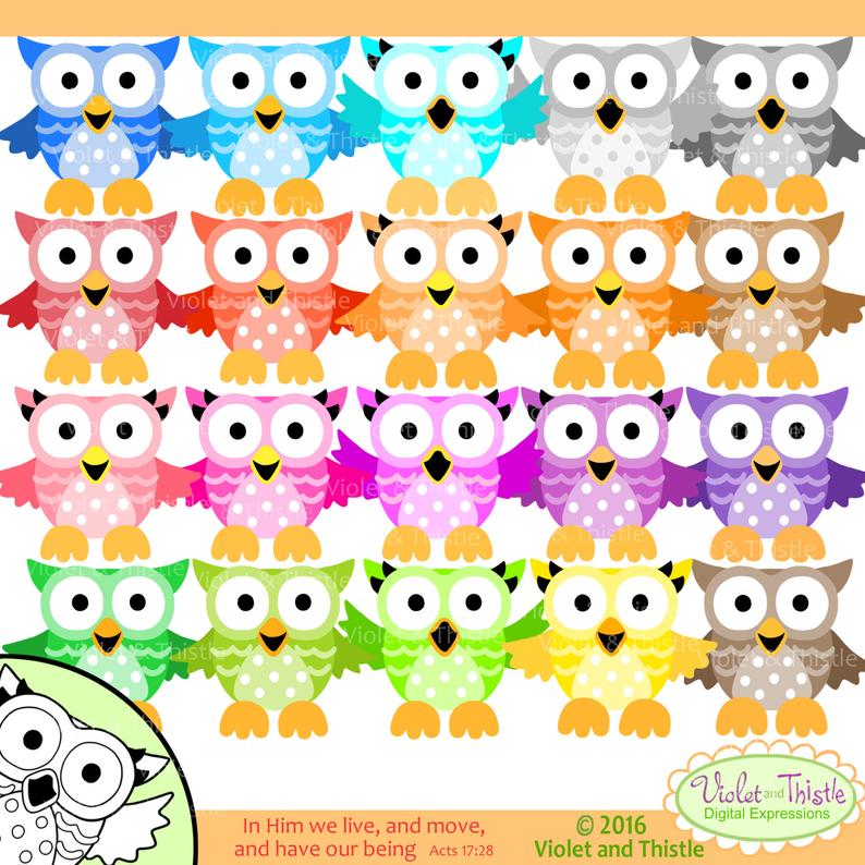 owls clipart colored