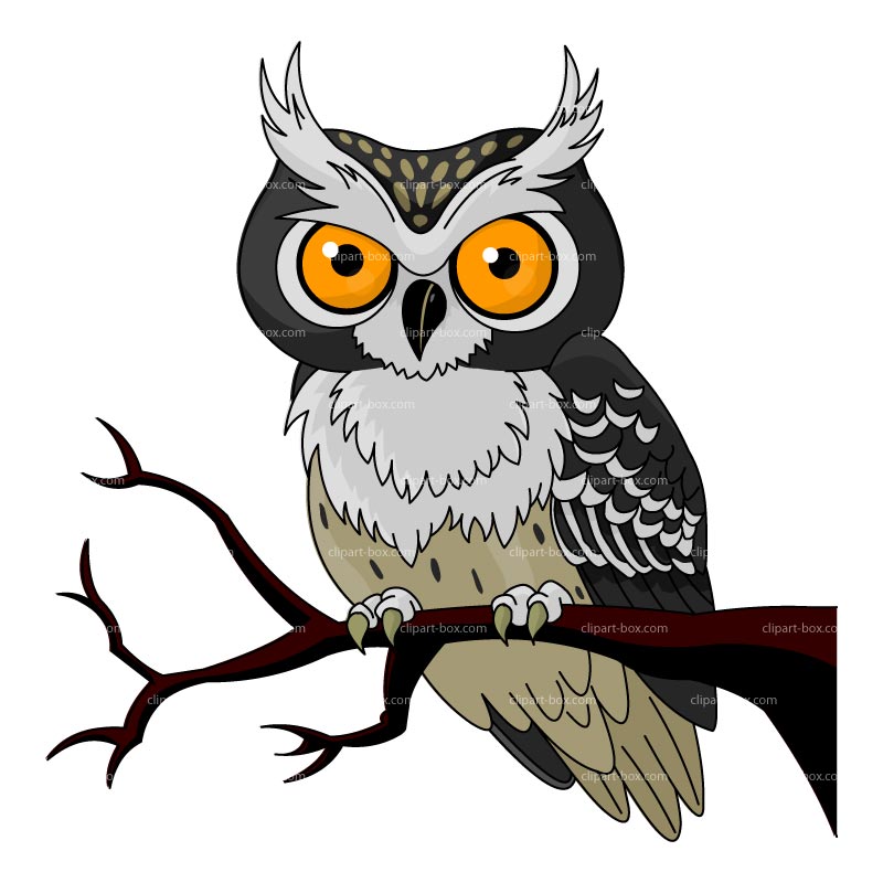 owls clipart vector