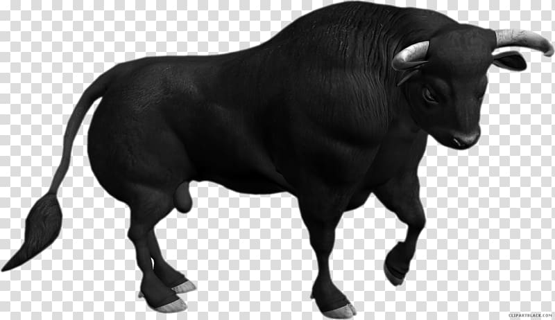 ox clipart brahma bull
