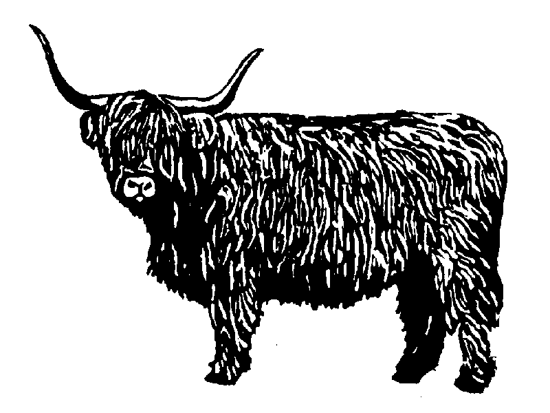 Index english live exclusively. Ox clipart bullock