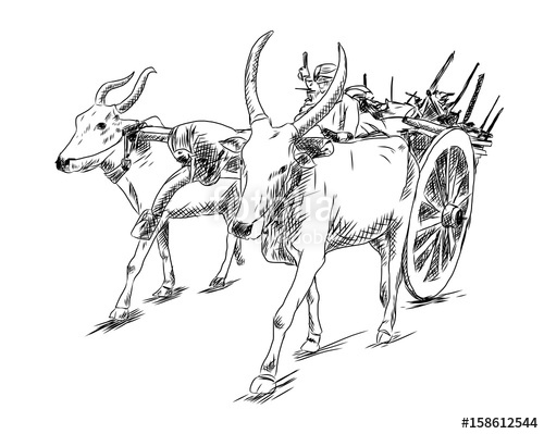 Ox clipart bullock cart. Hand drawn sketch of