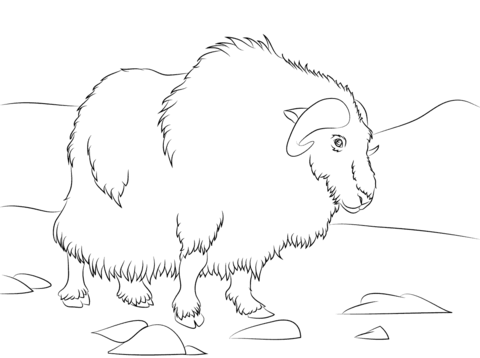 ox clipart coloring page