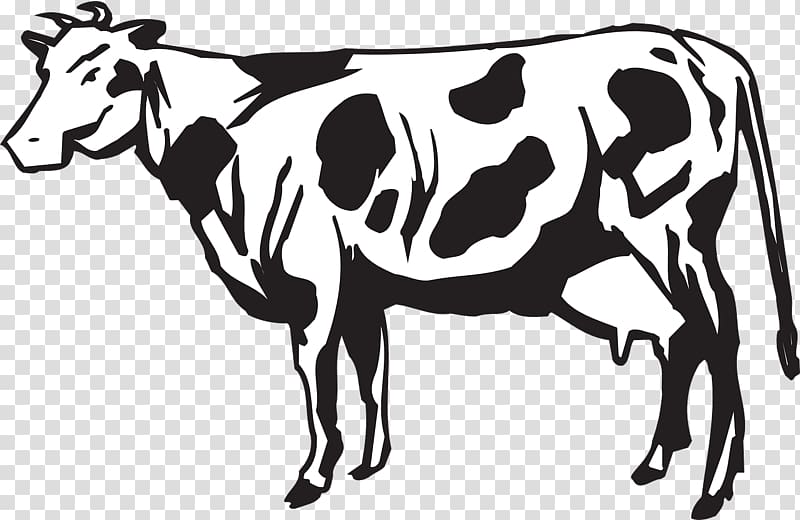 ox clipart cow herd
