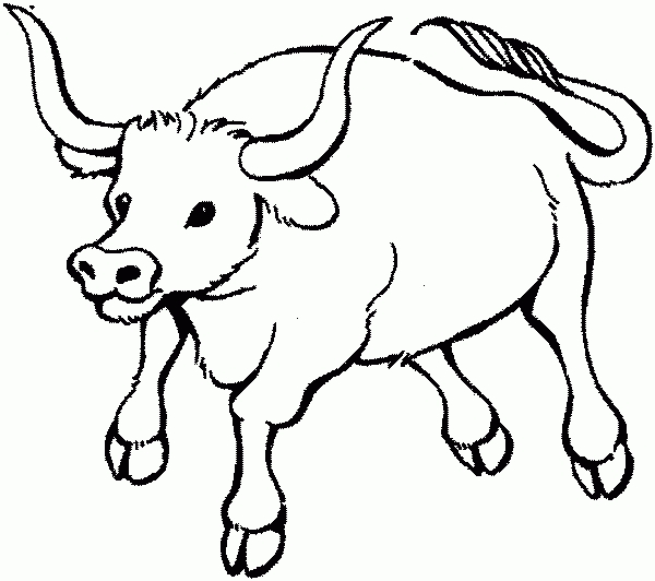 ox clipart drawing