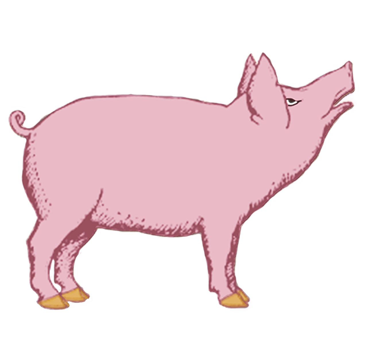 ox clipart frenzied