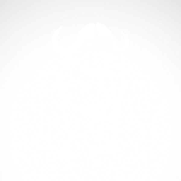 ox clipart male cow