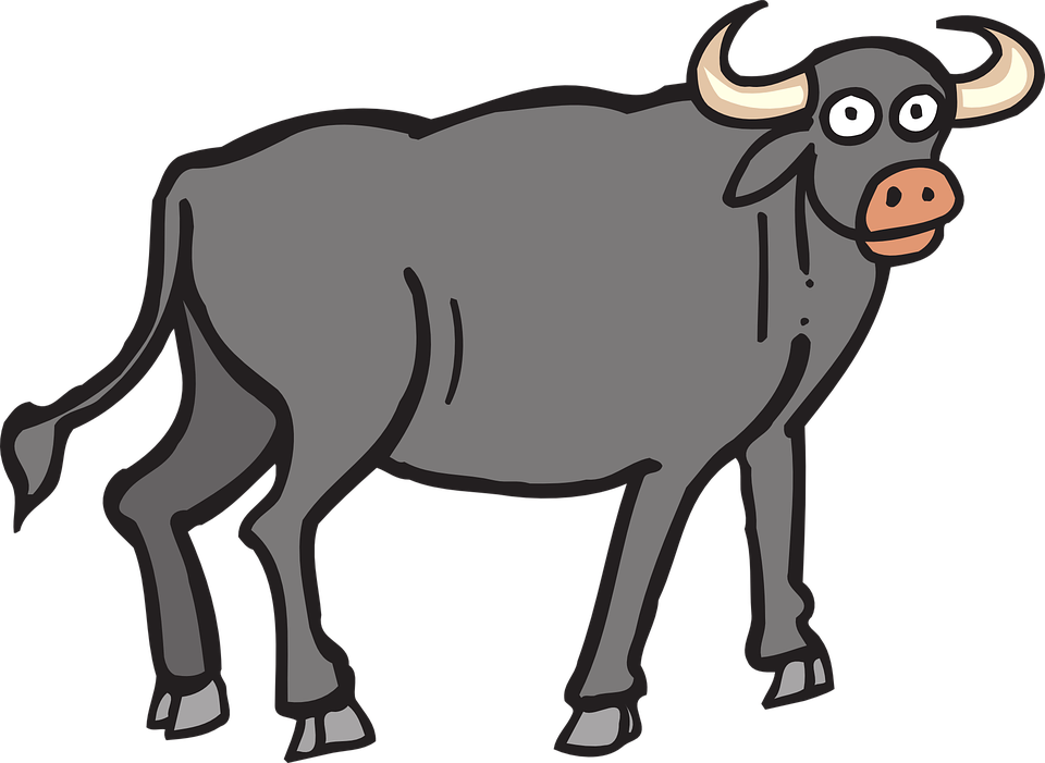 cattle clipart carabao