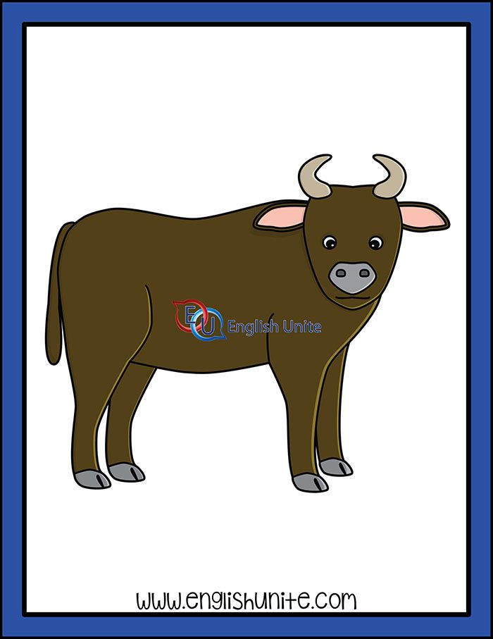 ox clipart two