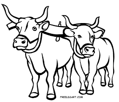 ox clipart two