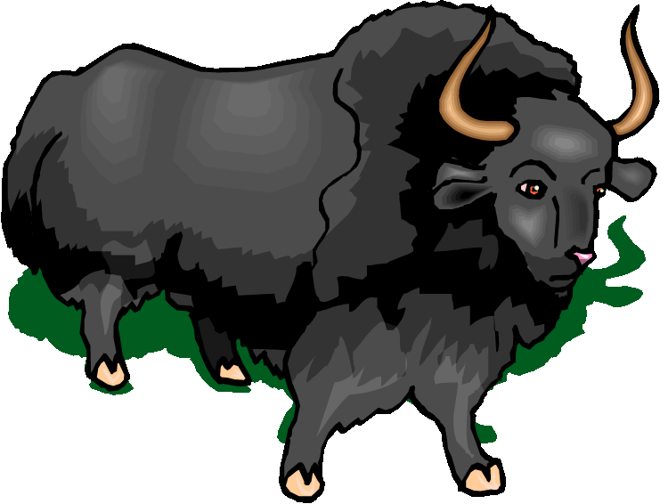 Free buffalo large horned. Yak clipart horns