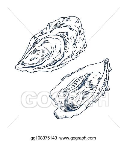 oyster clipart bivalve