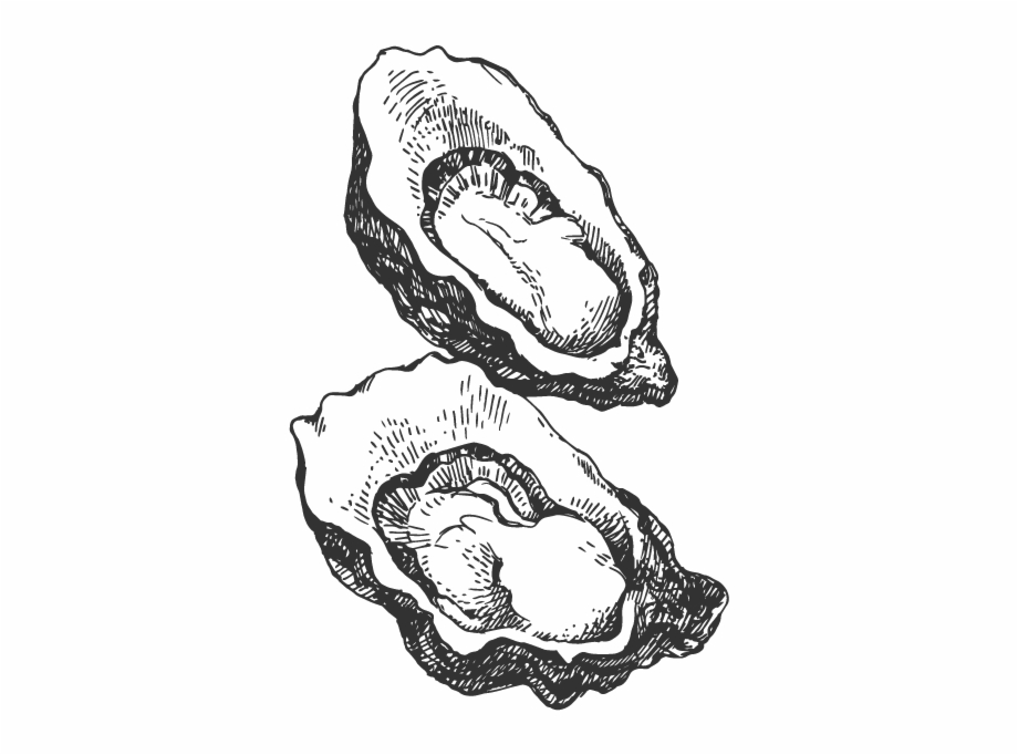 Oyster clipart black and white, Oyster black and white Transparent FREE