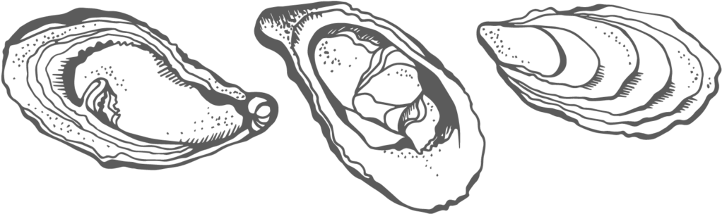oyster clipart drawn
