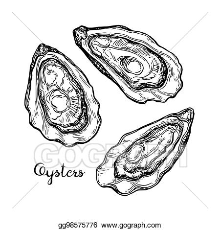 oyster clipart hand drawn