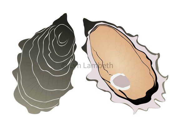Clip art instant download. Oyster clipart hand drawn