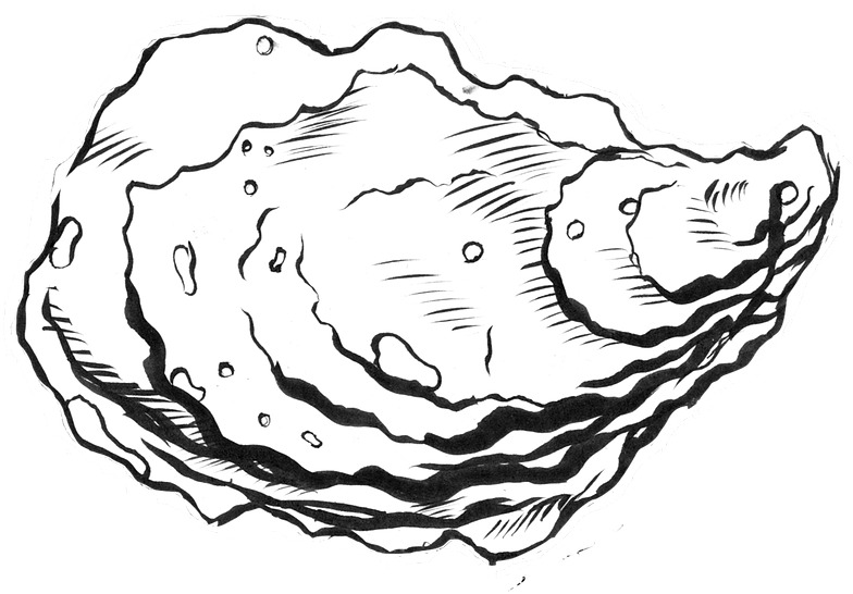 oyster clipart hand drawn