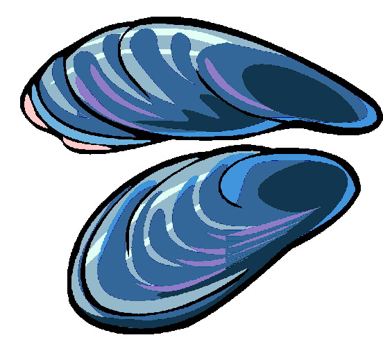 Oyster clipart mussel. Download cartoon mussels clam