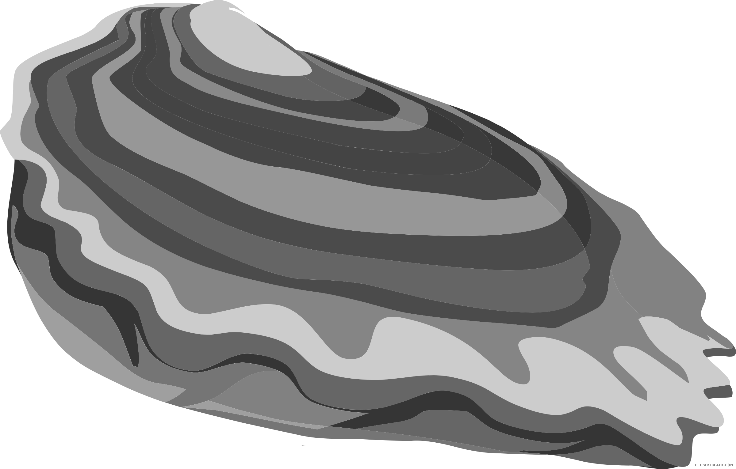 Oyster clipart oyester. Page of clipartblack com