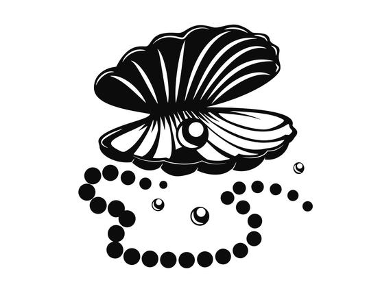 oyster clipart pearl illustration