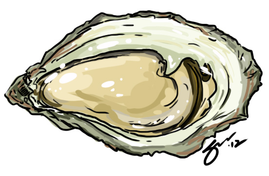 oyster clipart shellfish