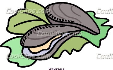 oyster clipart shellfish food