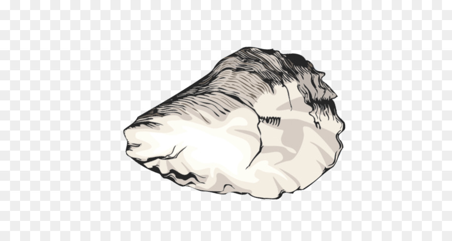 oyster clipart transparent