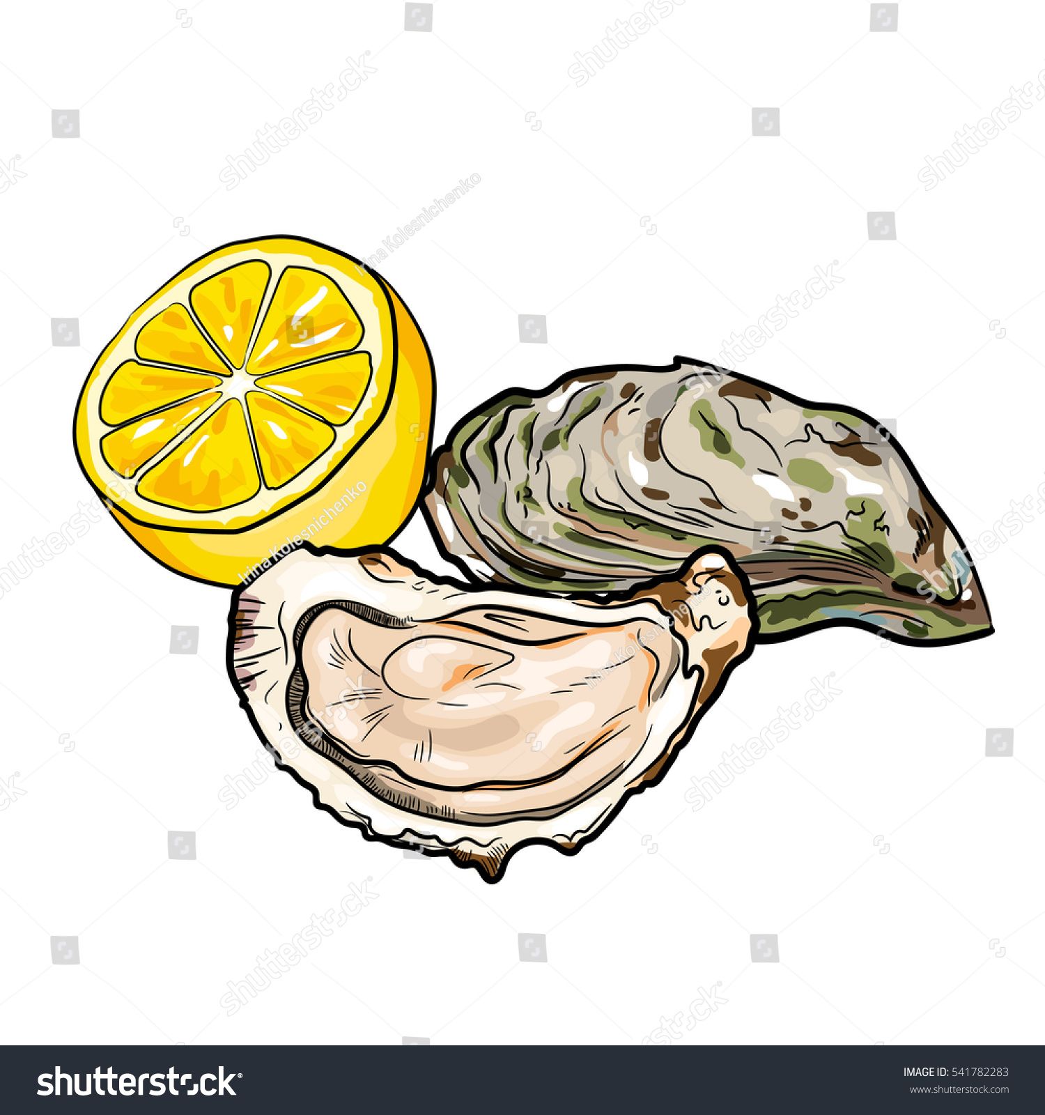 oyster clipart vector