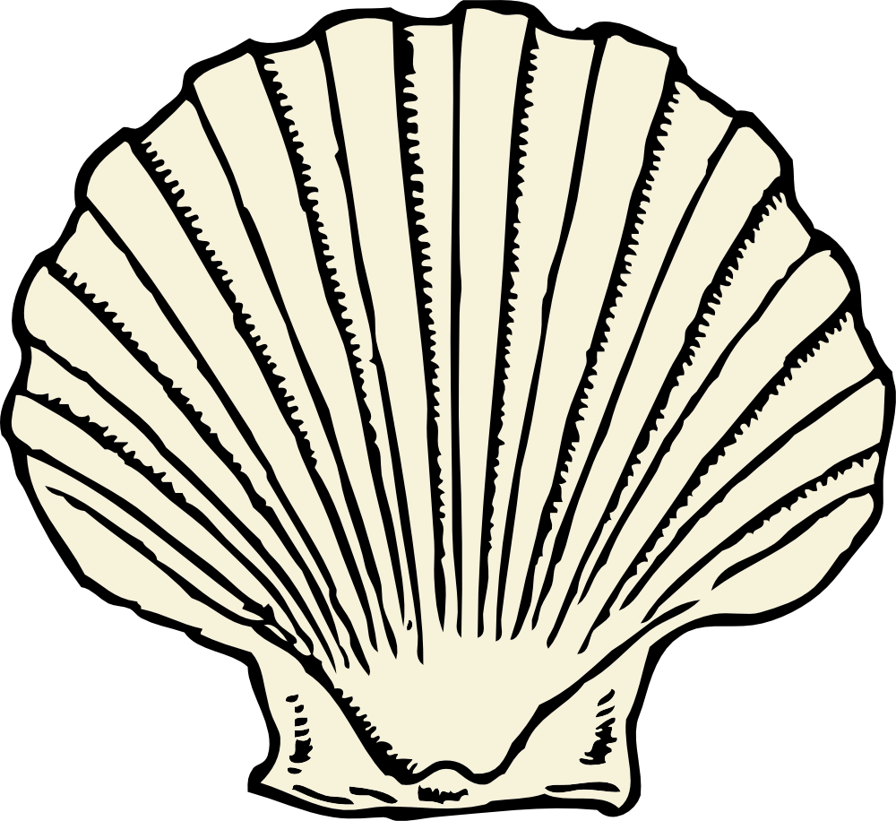 oyster clipart vector