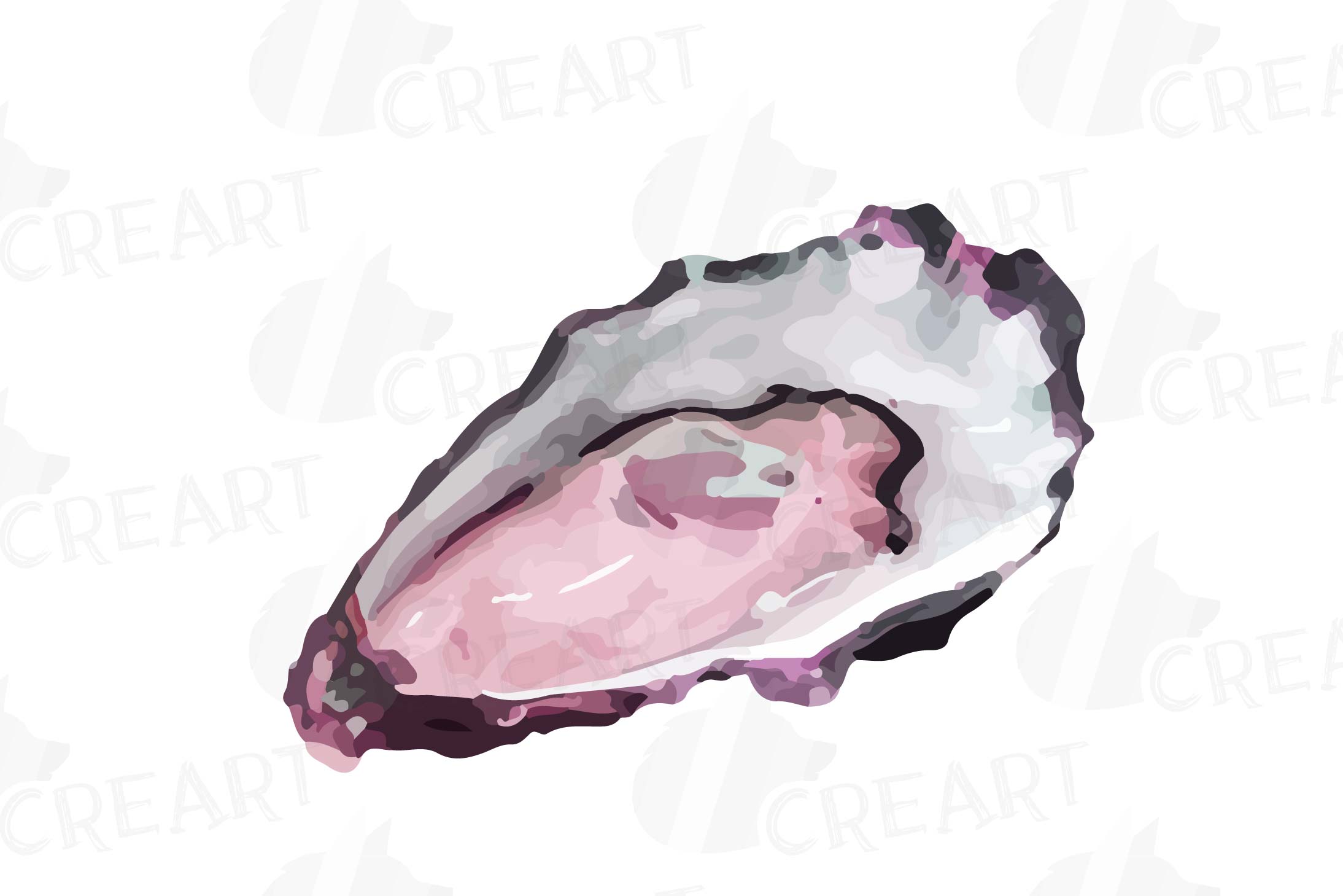 oyster clipart watercolor