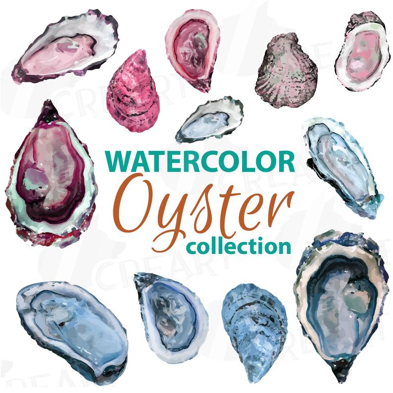 oyster clipart watercolor