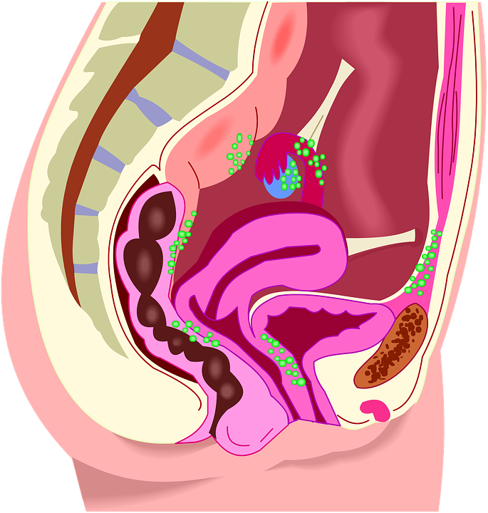 Pain clipart period cramp. Menstruation why is it