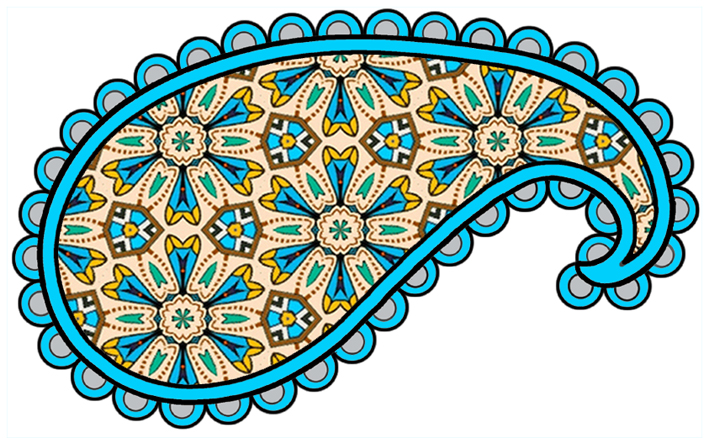 paisley clipart colorful paisley