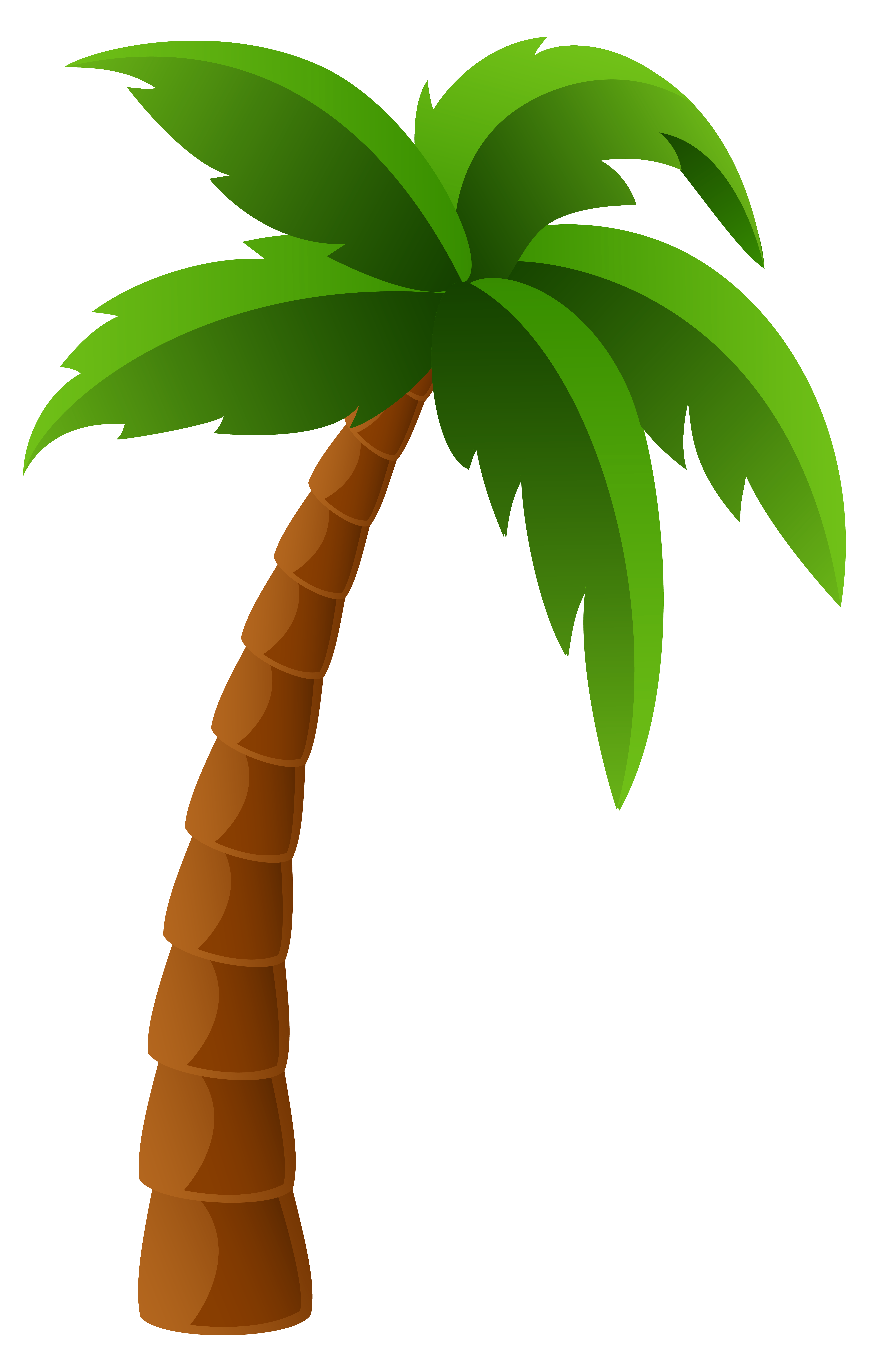 Palm tree png image. Hammock clipart hawaiian coconut