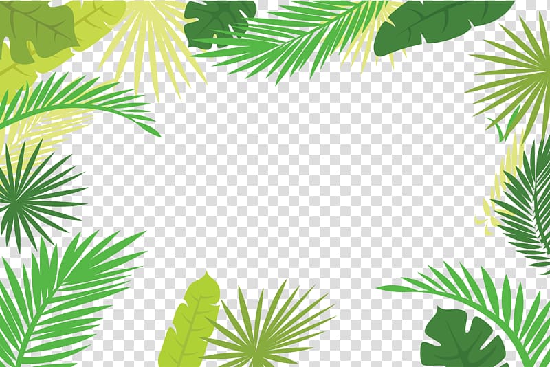 Palm clipart border. Arecaceae text branch leaf