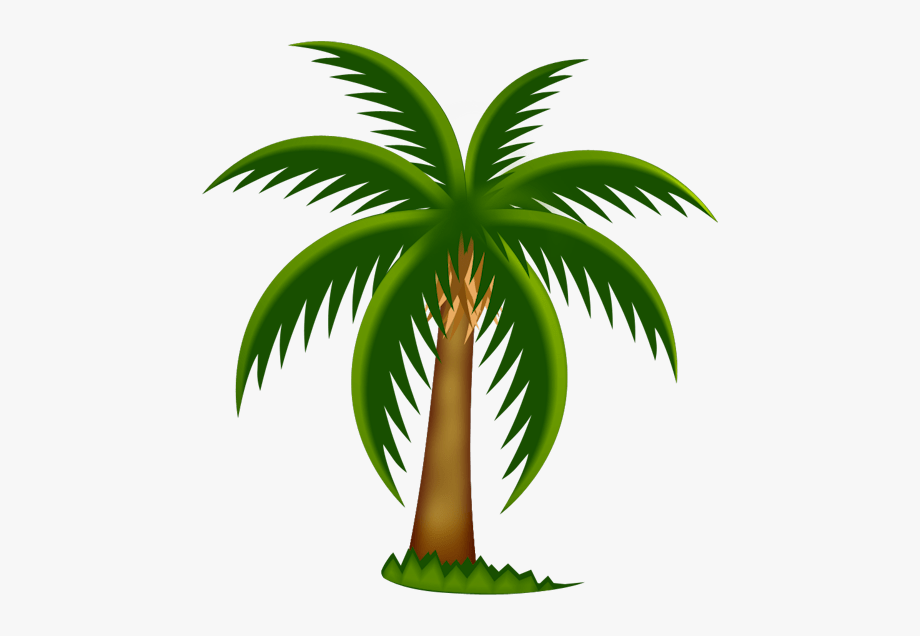 palm clipart coconut plant
