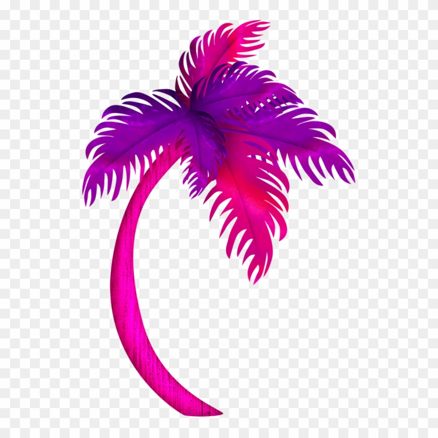palm clipart color