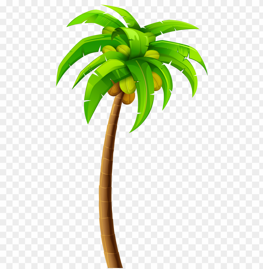 palm clipart cool