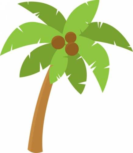 palm clipart cute