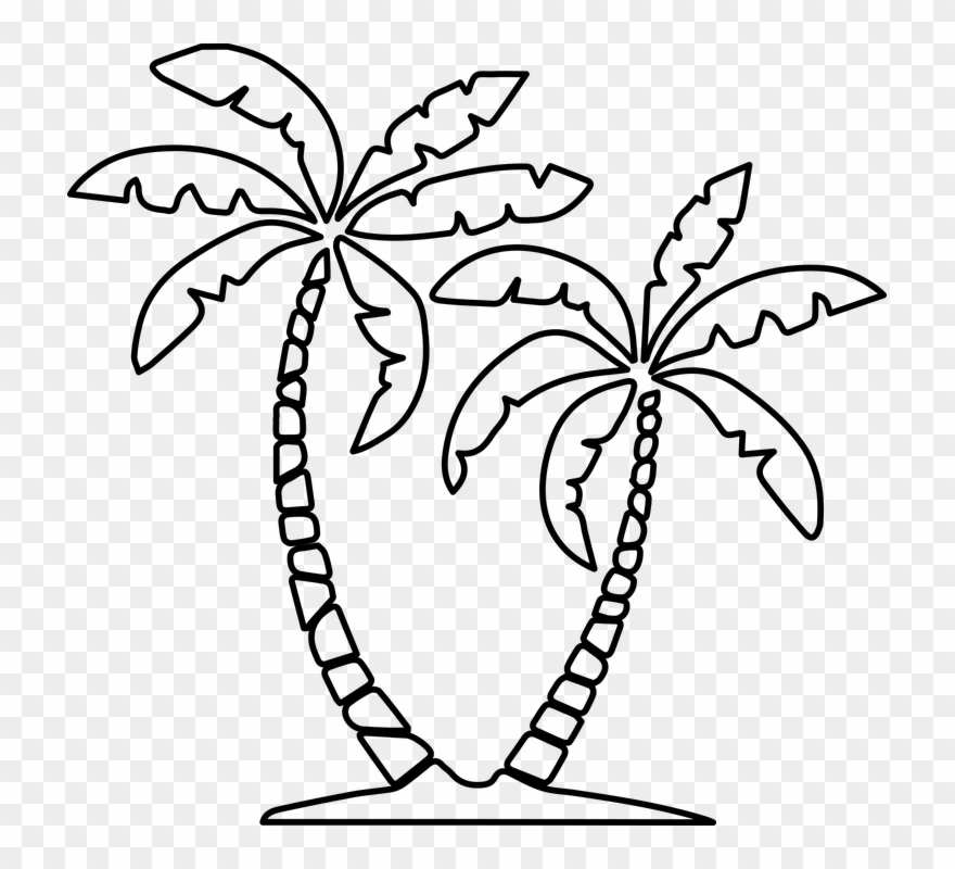 palm clipart drawn